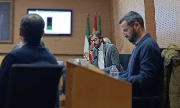 IU mantiene su apuesta por la peatonalización y reclama la puesta en marcha de la Zona de Bajas Emisiones