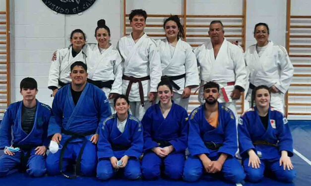 Importante representación del Club de Judo Tadeo en el Campeonato de España Sector Sur de Judo Junior