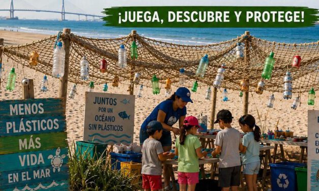 Cinco actividades gratuitas acercarán este verano la educación ambiental al litoral portuense