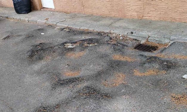 Vox El Puerto denuncia el estado de las calles de El Manantial