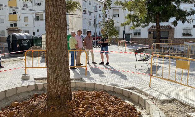 La barriada de la Marina Española recibe mejoras en su entorno urbano