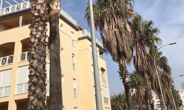 Vecinos de Valdelagrana requieren al Ayuntamiento una actuación urgente ante una plaga de ratas