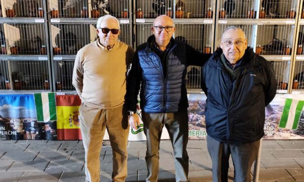 El XLII Campeonato Provincial de Palomos Deportivos de Raza congrega 200 ejemplares