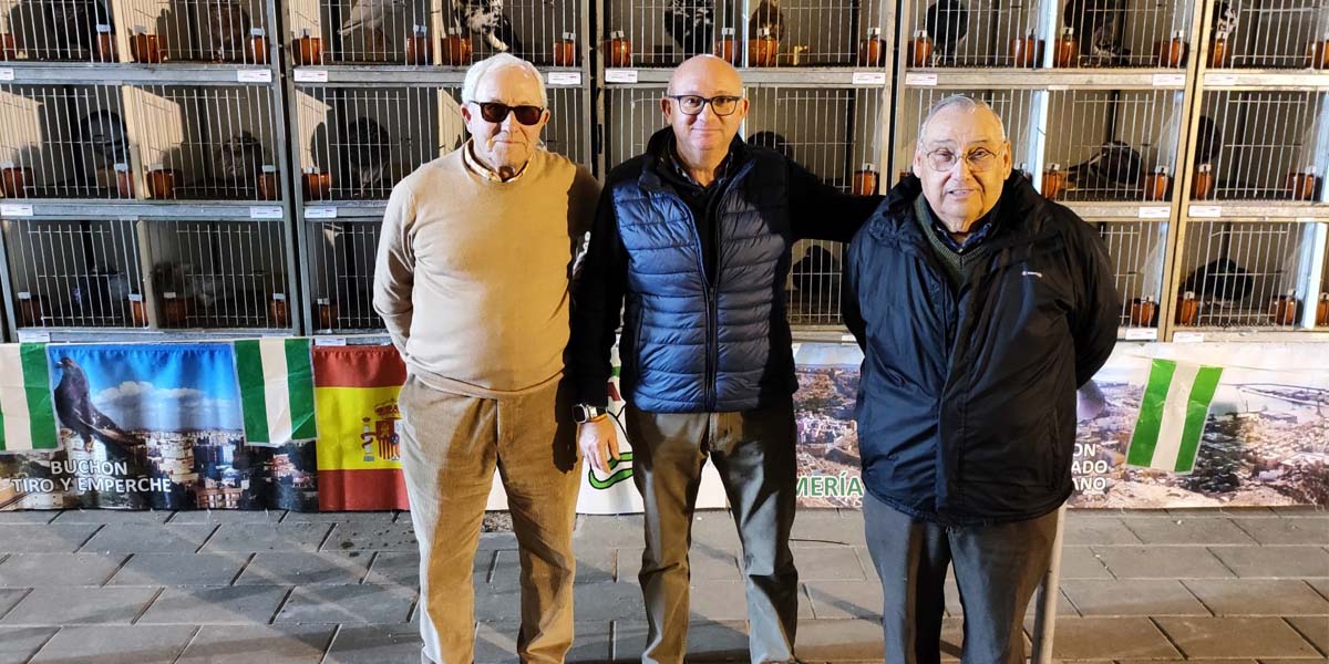 El XLII Campeonato Provincial de Palomos Deportivos de Raza congrega 200 ejemplares
