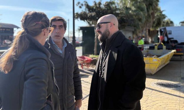 El Parque Calderón inicia la replantación de palmeras para recuperar su imagen histórica