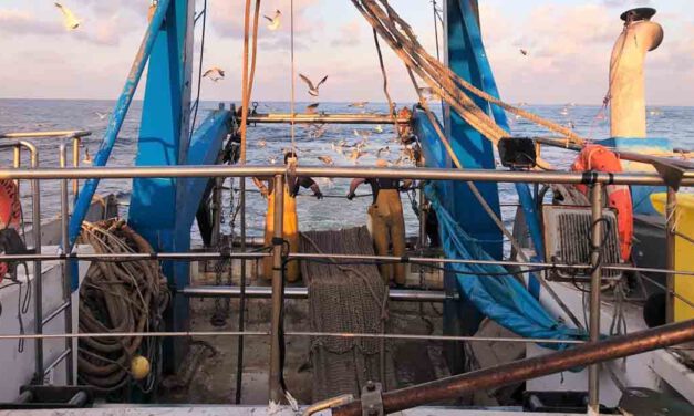 El sector pesquero de la Comarca Noroeste abre la convocatoria de ayudas europeas por 1,5 millones de euros