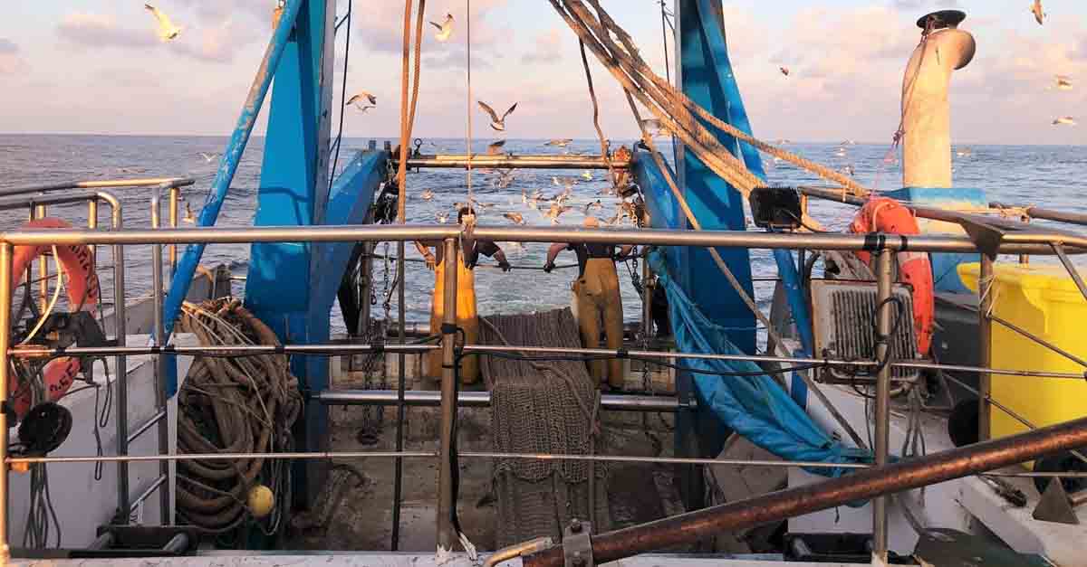 El sector pesquero de la Comarca Noroeste abre la convocatoria de ayudas europeas por 1,5 millones de euros