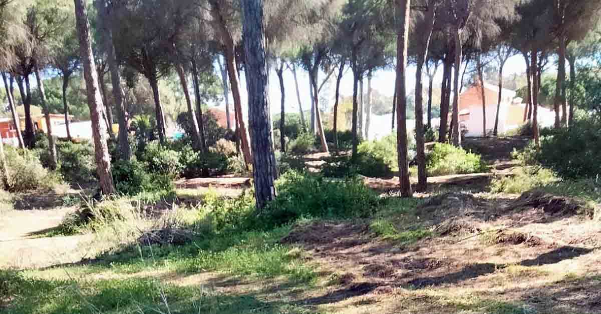 Vox El Puerto solicitará que se habiliten senderos peatonales en los Pinares de San Antón