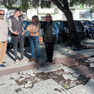 El PSOE reclama más mantenimiento urbano en Pinillo Chico