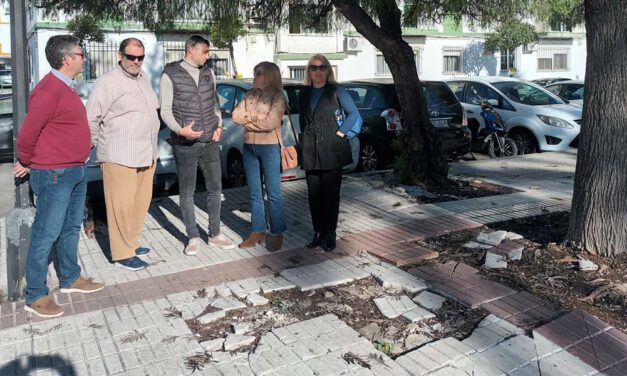 El PSOE reclama más mantenimiento urbano en Pinillo Chico