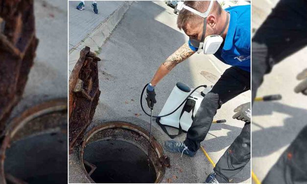 Altos del Paseo denuncia ser víctima de una plaga de cucarachas y la pasividad del Ayuntamiento