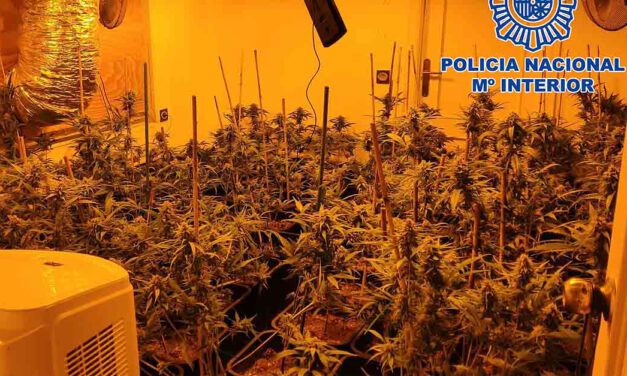 Desarticulado en El Puerto un grupo dedicado a la venta de drogas de diseño y al cultivo de marihuana