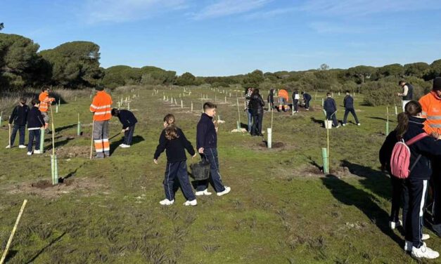 El Puerto plantará 4.700 ejemplares entre árboles y arbustos para reforzar su modelo de ciudad verde