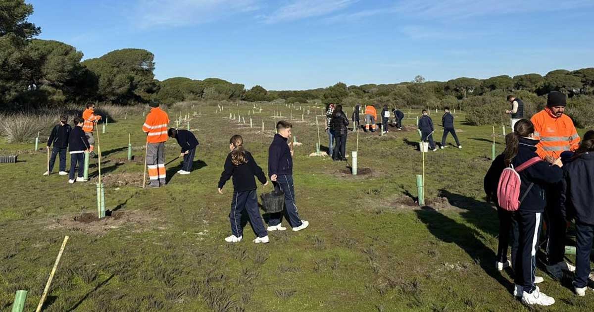 El Puerto plantará 4.700 ejemplares entre árboles y arbustos para reforzar su modelo de ciudad verde