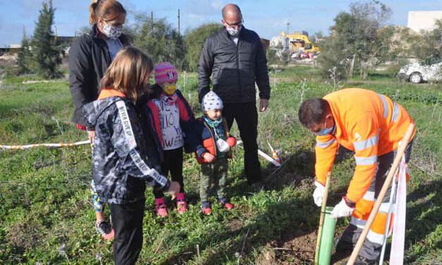 Plantados 500 nuevos árboles en el Parque Guadalete, que suma ya 8.500 ejemplares