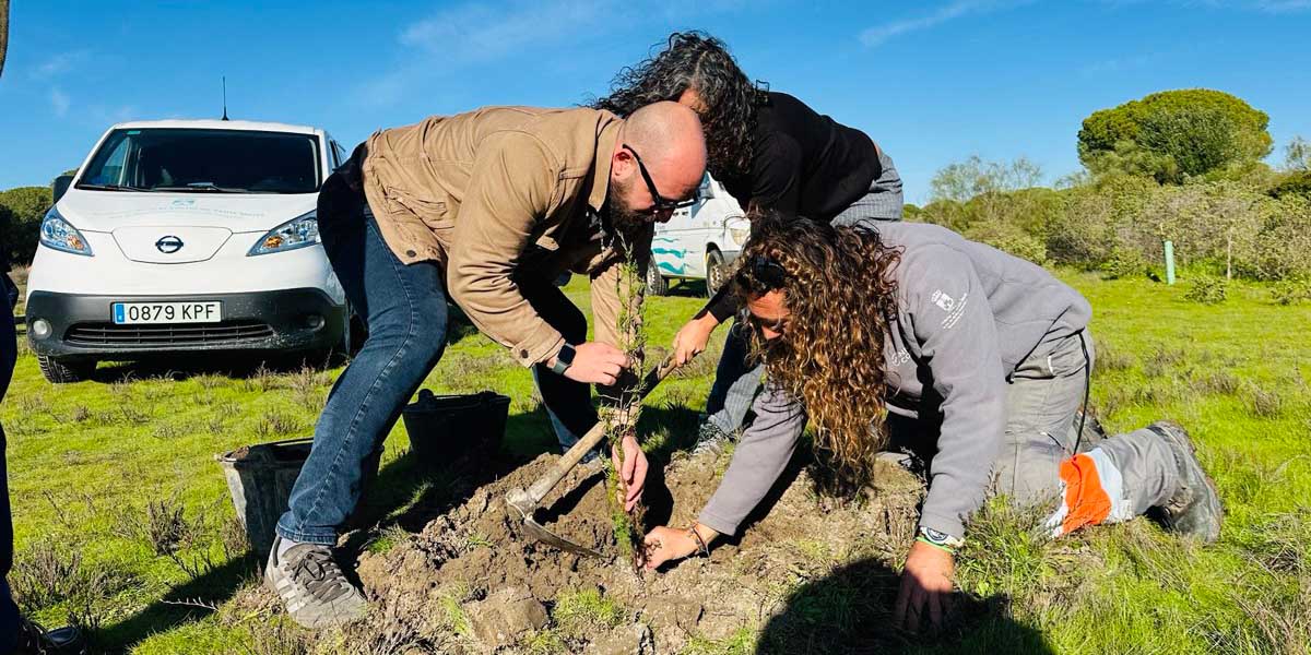 El Puerto impulsa la regeneración ambiental: más de 250 estudiantes participan en la plantación de especies autóctonas