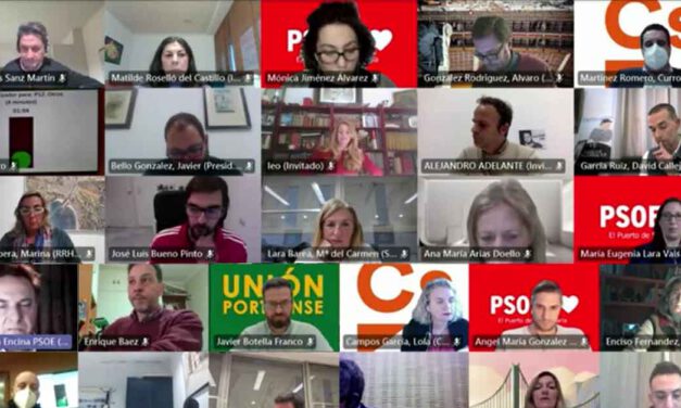 Botella critica la falta de participación ciudadana en los Plenos municipales