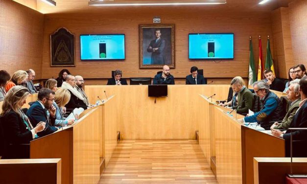 El Pleno de El Puerto aprueba el Plan Normativo Municipal 2024, clave para seguir avanzando como Gran Ciudad