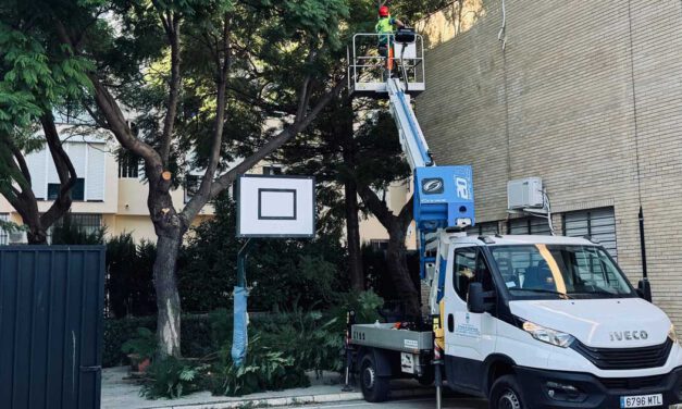 Arrancan los trabajos de poda y mantenimiento del arbolado en los colegios públicos de El Puerto
