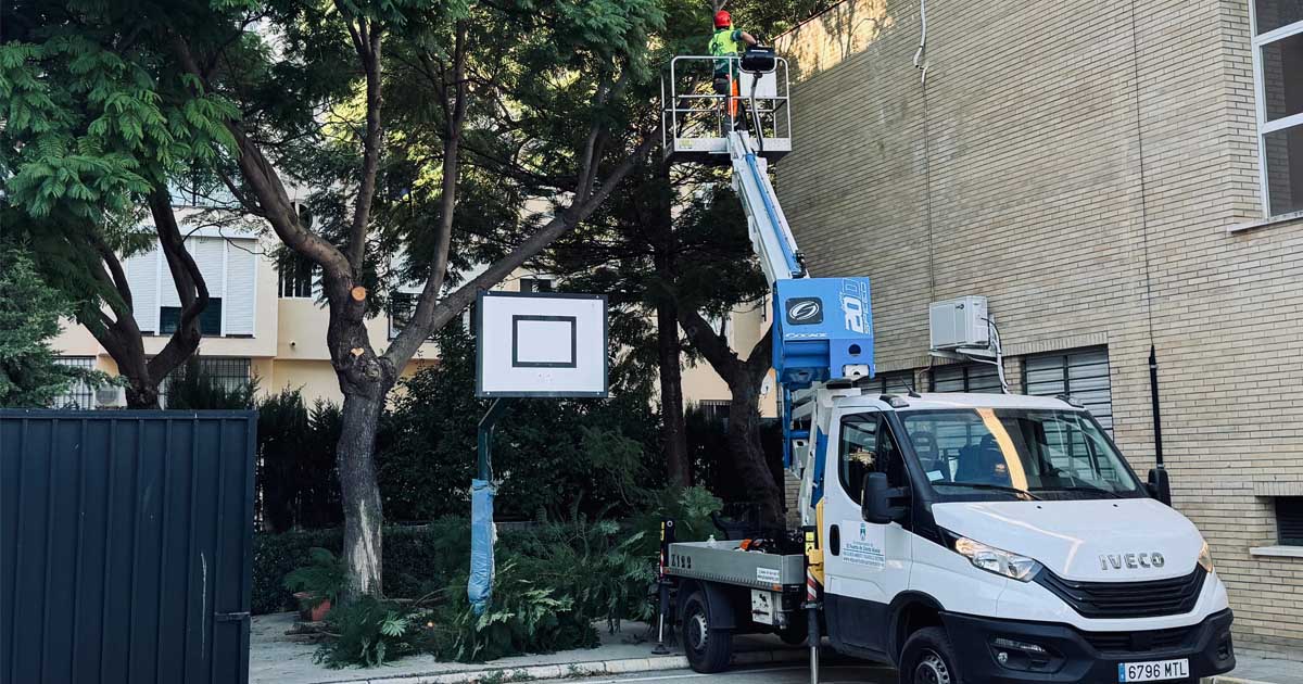 Arrancan los trabajos de poda y mantenimiento del arbolado en los colegios públicos de El Puerto