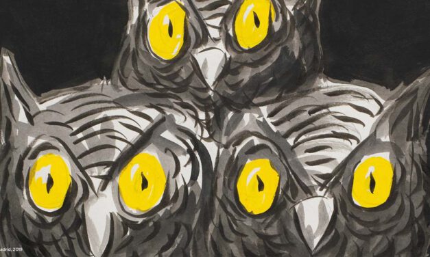 Mirar lo que no se debe