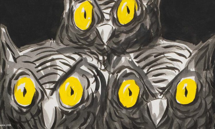 Mirar lo que no se debe