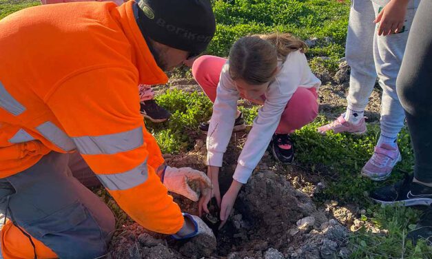 Medio Ambiente inicia la reforestación de las zonas degradadas por el fuego en el Coto de la Isleta