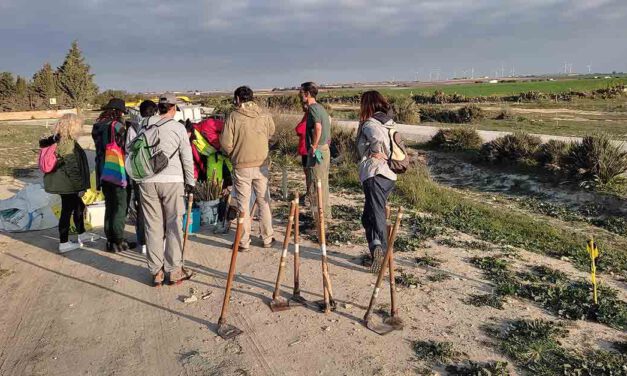Finalizan las Jornadas de Reforestación Participativa de la “Puerta Verde de la Ruta Enoturística"