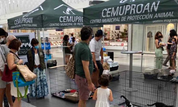 El Cemuproan instala una carpa para potenciar las adopciones