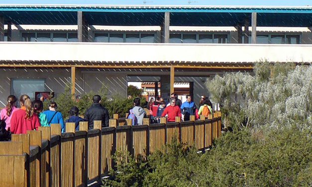 Los Toruños presenta un extenso programa de actividades para celebrar el Día de Andalucía