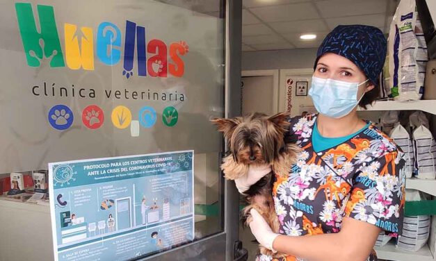 Los animales de compañía, víctimas colaterales del coronavirus