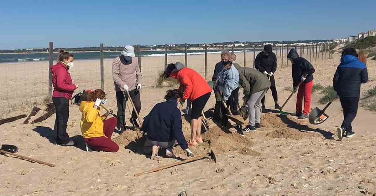 El voluntariado de la playa de Levante finaliza tras retirar 1.890 kilos de uña de gato y basura