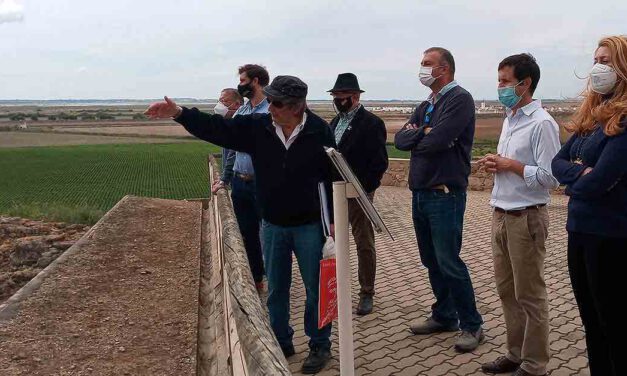 Vox El Puerto lleva a Pleno la reactivación del proyecto arqueológico de Doña Blanca