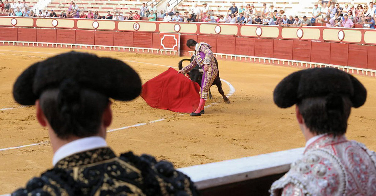 El empresario de la Plaza de Toros de El Puerto se olvida de La Gallosina