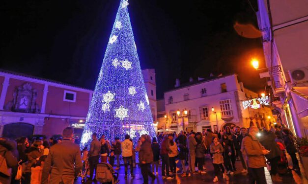 El gran árbol de Navidad se instalará este año en la Plaza del Castillo