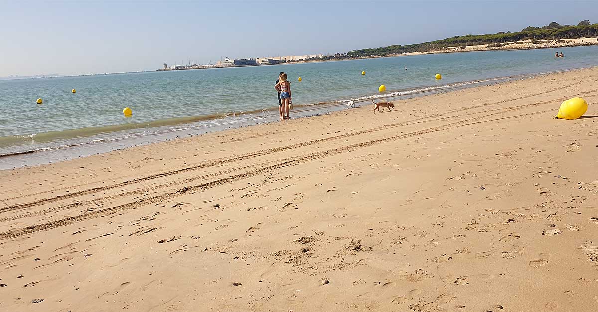 La provincia de Cádiz pasa a la fase 2: bañarse en la playa, cine, teatro y más aforo en bares