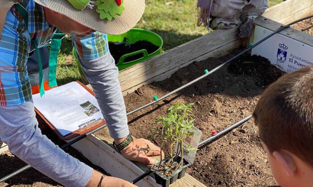 Ecologistas en Acción propone abrir ya los huertos urbanos de Caja de Aguas