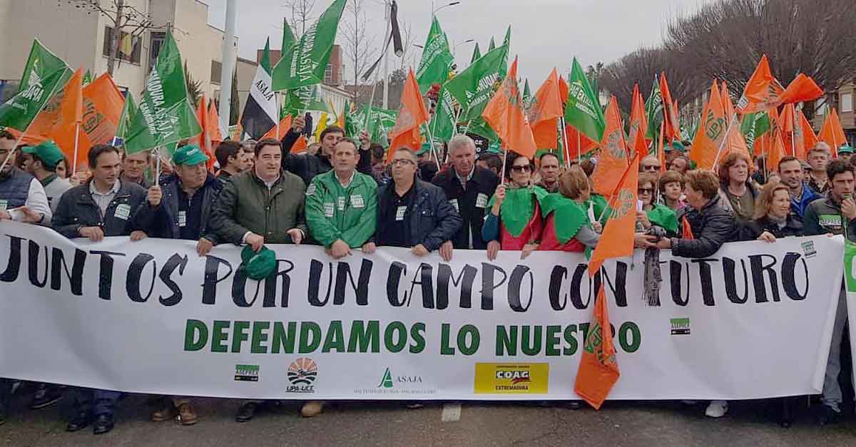 NNGG de El Puerto apoya al sector agrícola "en sus justas reivindicaciones"