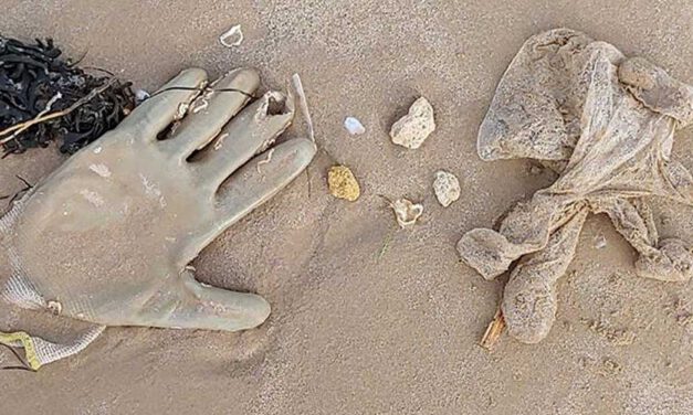 Las playas de La Puntilla y Valdelagrana amanecen con multitud de guantes