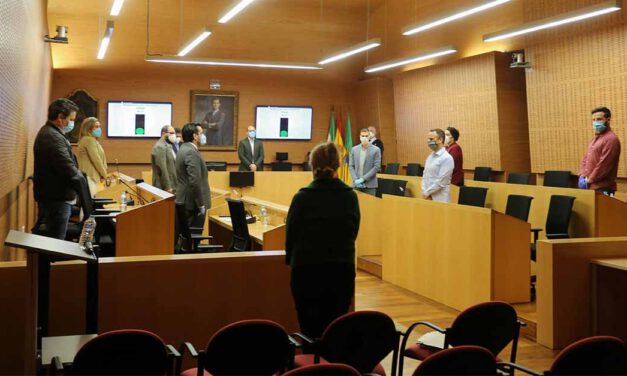 El pleno aprueba por unanimidad el pago de 89.000 euros en facturas a proveedores