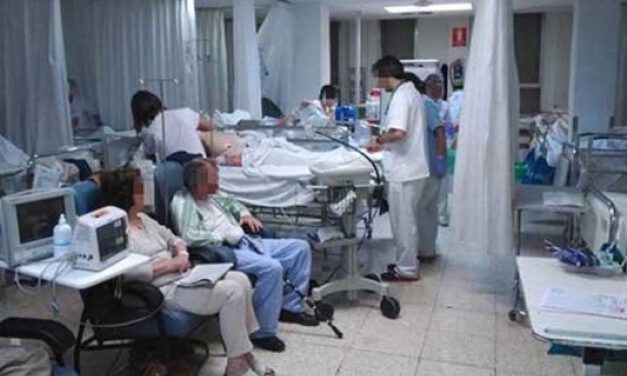 Andalucía: 5 brotes controlados o en investigación con 137 casos