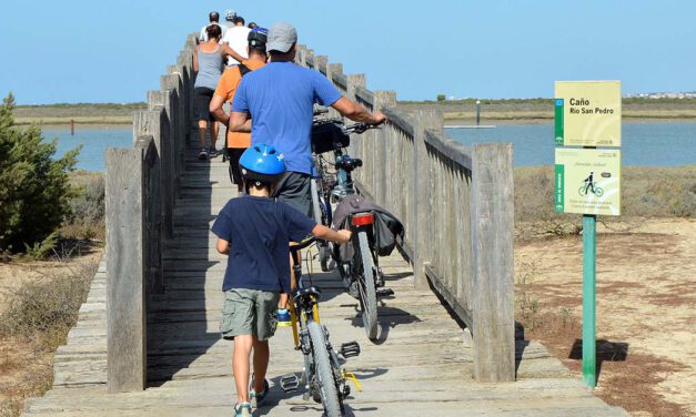 El Parque de los Toruños reabre los puentes que comunican El Puerto y Puerto Real