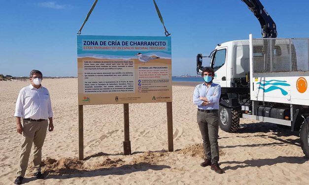 En marcha una campaña para preservar la reproducción de charranes