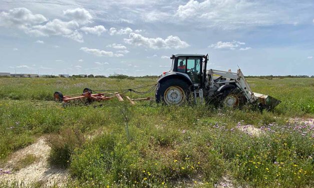 Comienzan los trabajos selvícolas para proteger el Parque del Guadalete de posibles incendios