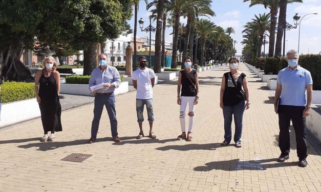 Luz verde al mercadillo de los martes y el solidario de los domingos
