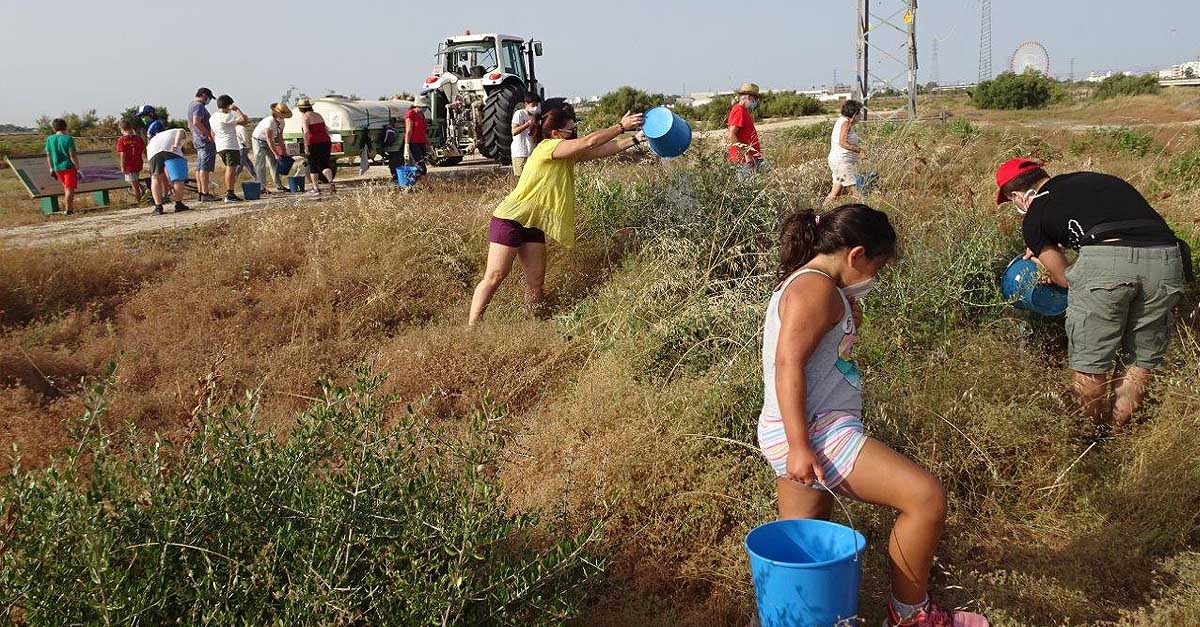 Ecologistas organiza una jornada de riego de la repoblación en la salina San José