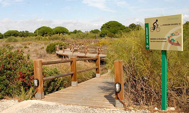 Medio Ambiente organiza este domingo una ruta guiada en bici por Los Toruños