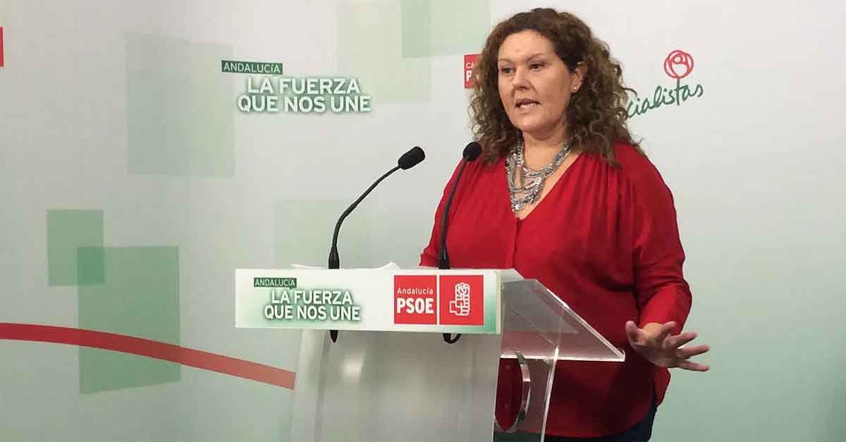 El PSOE desmiente los datos ofrecidos por García Pelayo sobre el Ingreso Mínimo Vital