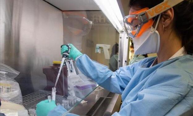 Andalucía sube en 80 hospitalizados en 24 horas hasta los 1.084