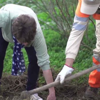 Una jornada de plantación reunirá a familias y vecinos en el Pinar de Coig este domingo